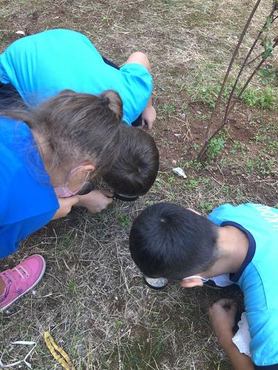 Çevre İnceleme e Kitap by Hasan - Ourboox.com