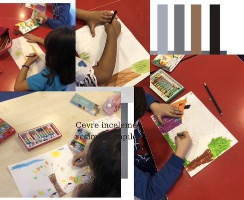 Çevre İnceleme e Kitap by Hasan - Ourboox.com