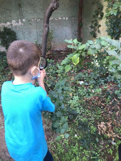 Çevre İnceleme e Kitap by Hasan - Ourboox.com