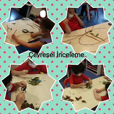 Çevre İnceleme e Kitap by Hasan - Ourboox.com