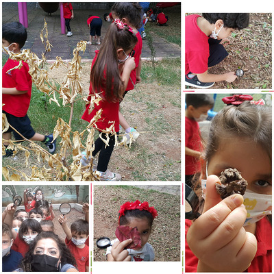 Çevre İnceleme e Kitap by Hasan - Ourboox.com