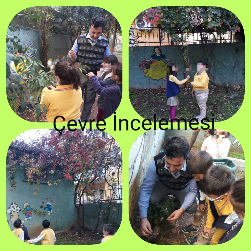 Çevre İnceleme e Kitap by Hasan - Ourboox.com