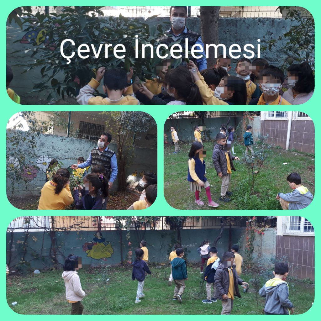 Çevre İnceleme e Kitap by Hasan - Ourboox.com