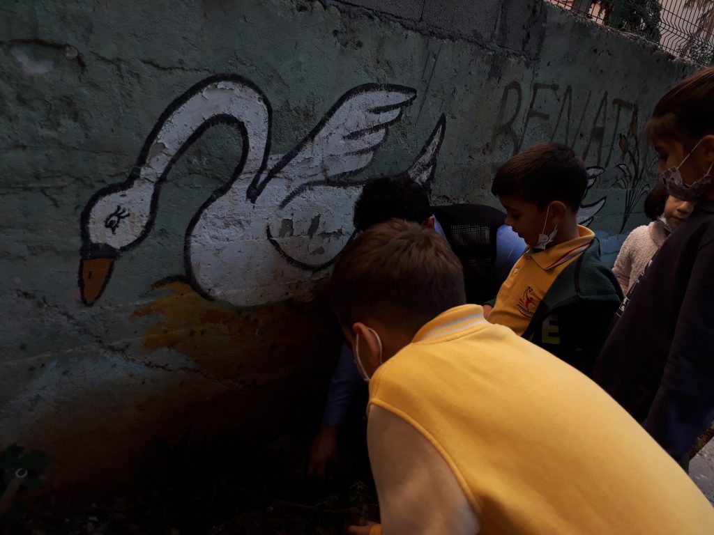 Çevre İnceleme e Kitap by Hasan - Ourboox.com