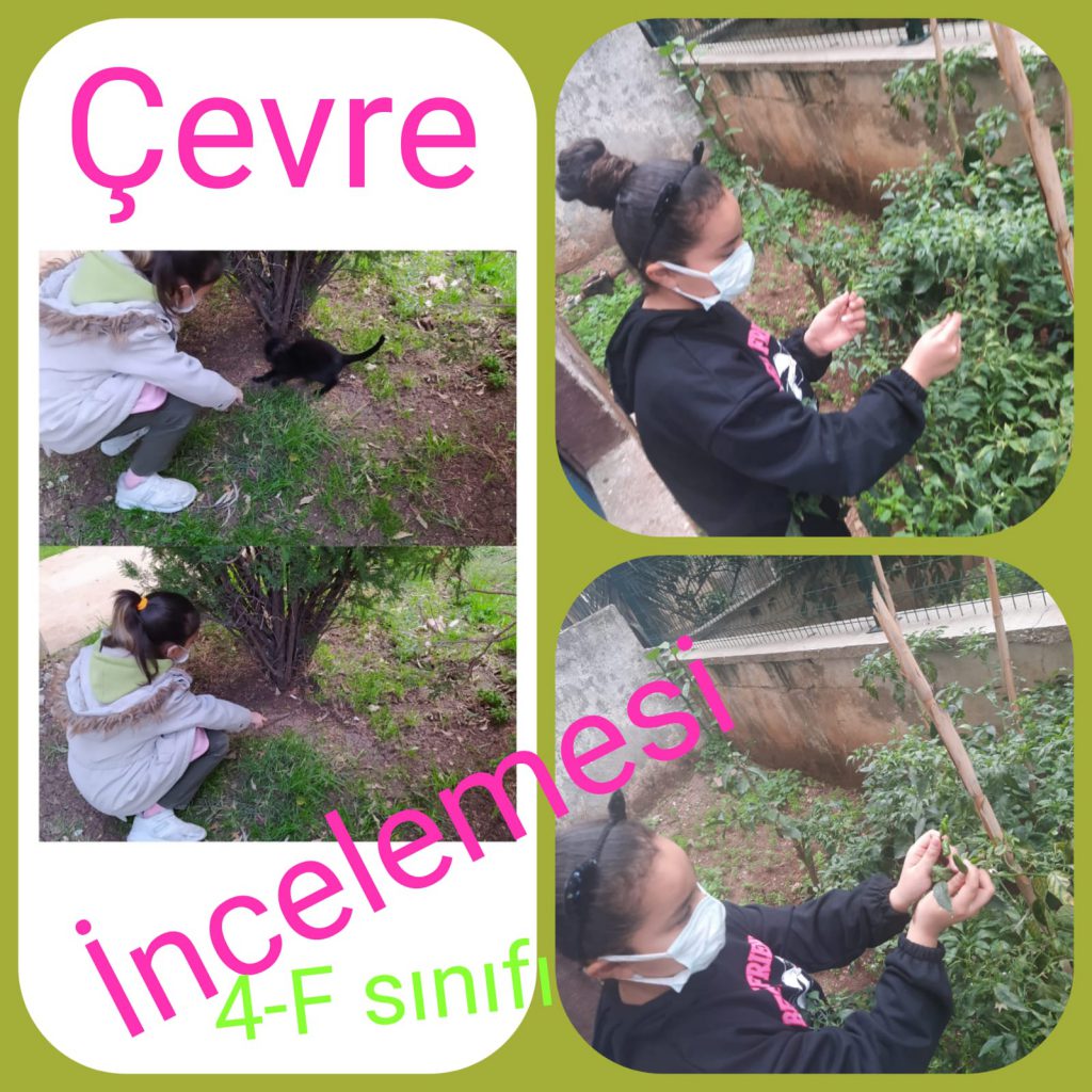 Çevre İnceleme e Kitap by Hasan - Ourboox.com