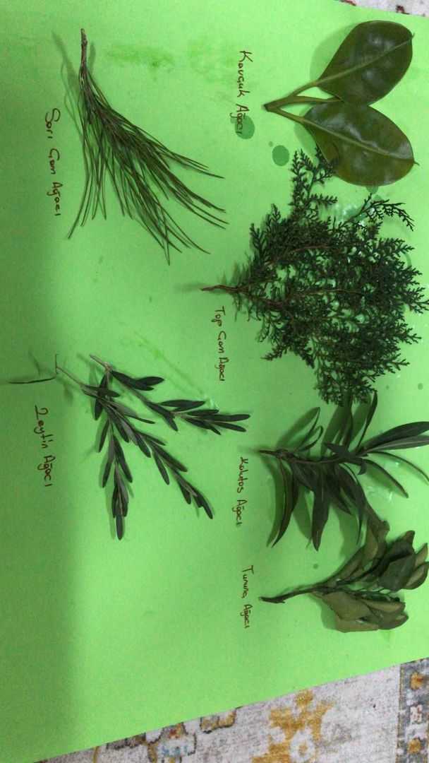 Çevre İnceleme e Kitap by Hasan - Ourboox.com