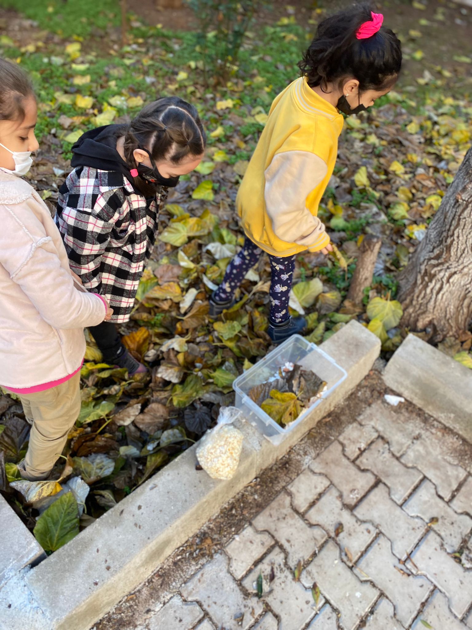 Kompost Oluşturma eKitabı by Hasan - Ourboox.com