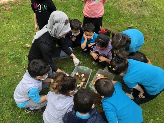 Kompost Oluşturma eKitabı by Hasan - Ourboox.com