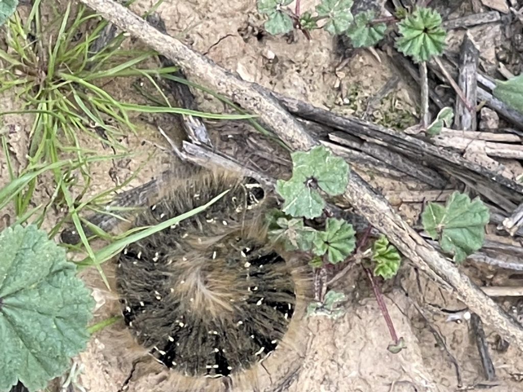 جوله في احضان الطبيعه by ABRAR - Illustrated by بستان المناهل - Ourboox.com