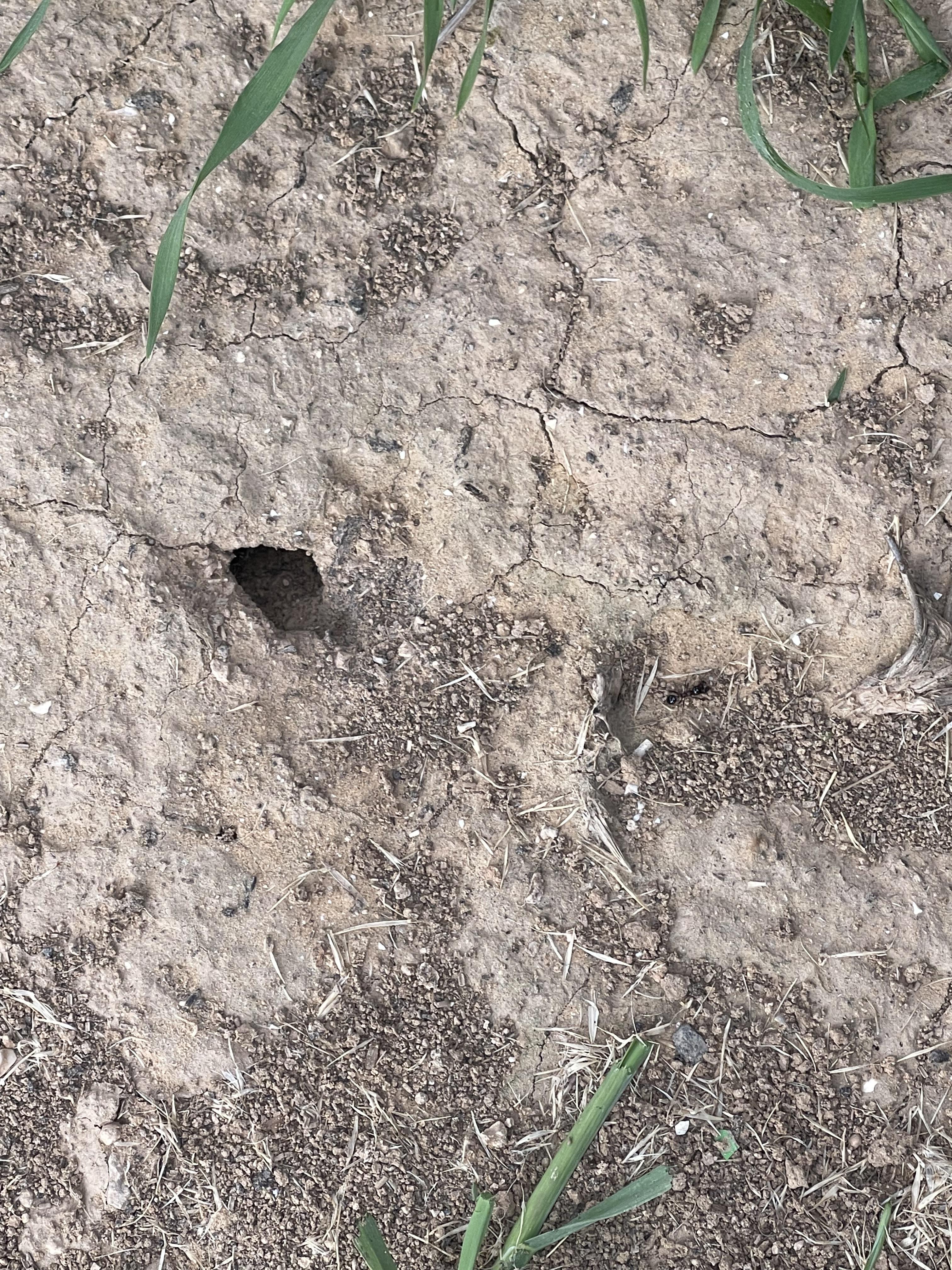 جوله في احضان الطبيعه by ABRAR - Illustrated by بستان المناهل - Ourboox.com