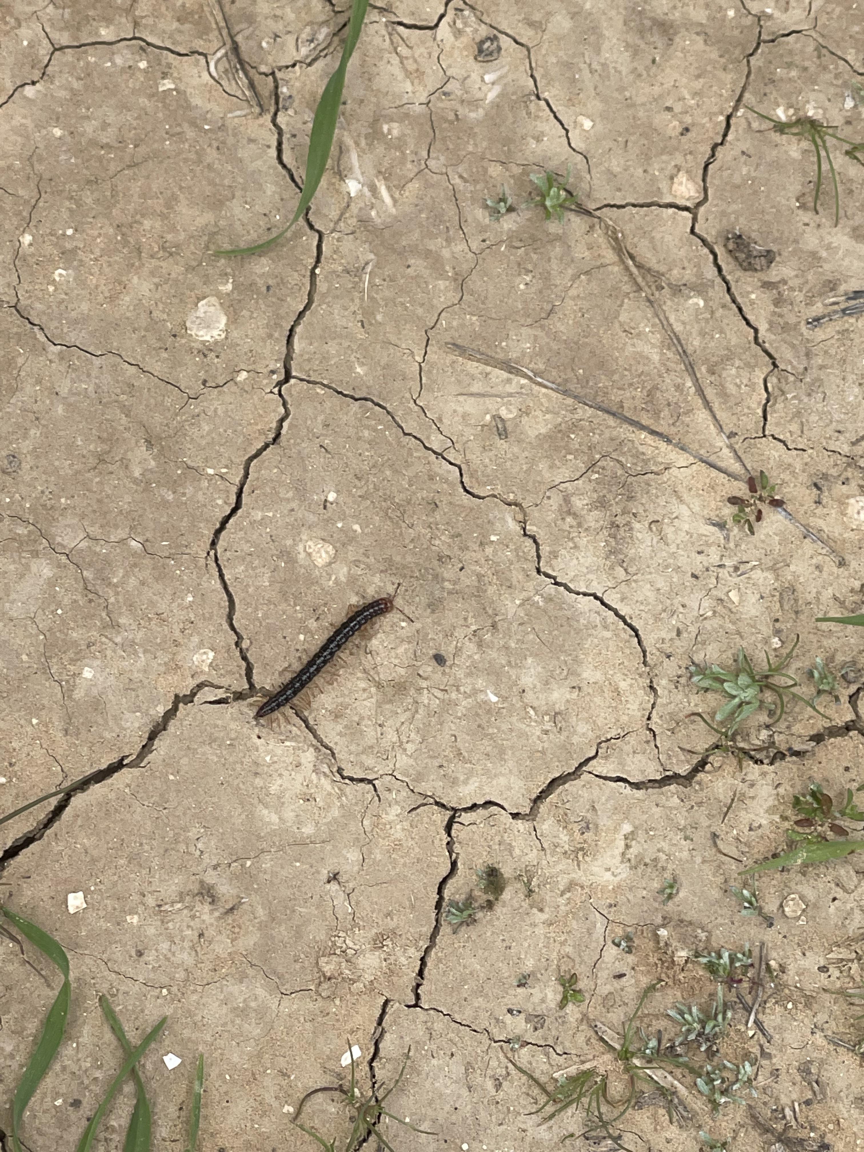 جوله في احضان الطبيعه by ABRAR - Illustrated by بستان المناهل - Ourboox.com