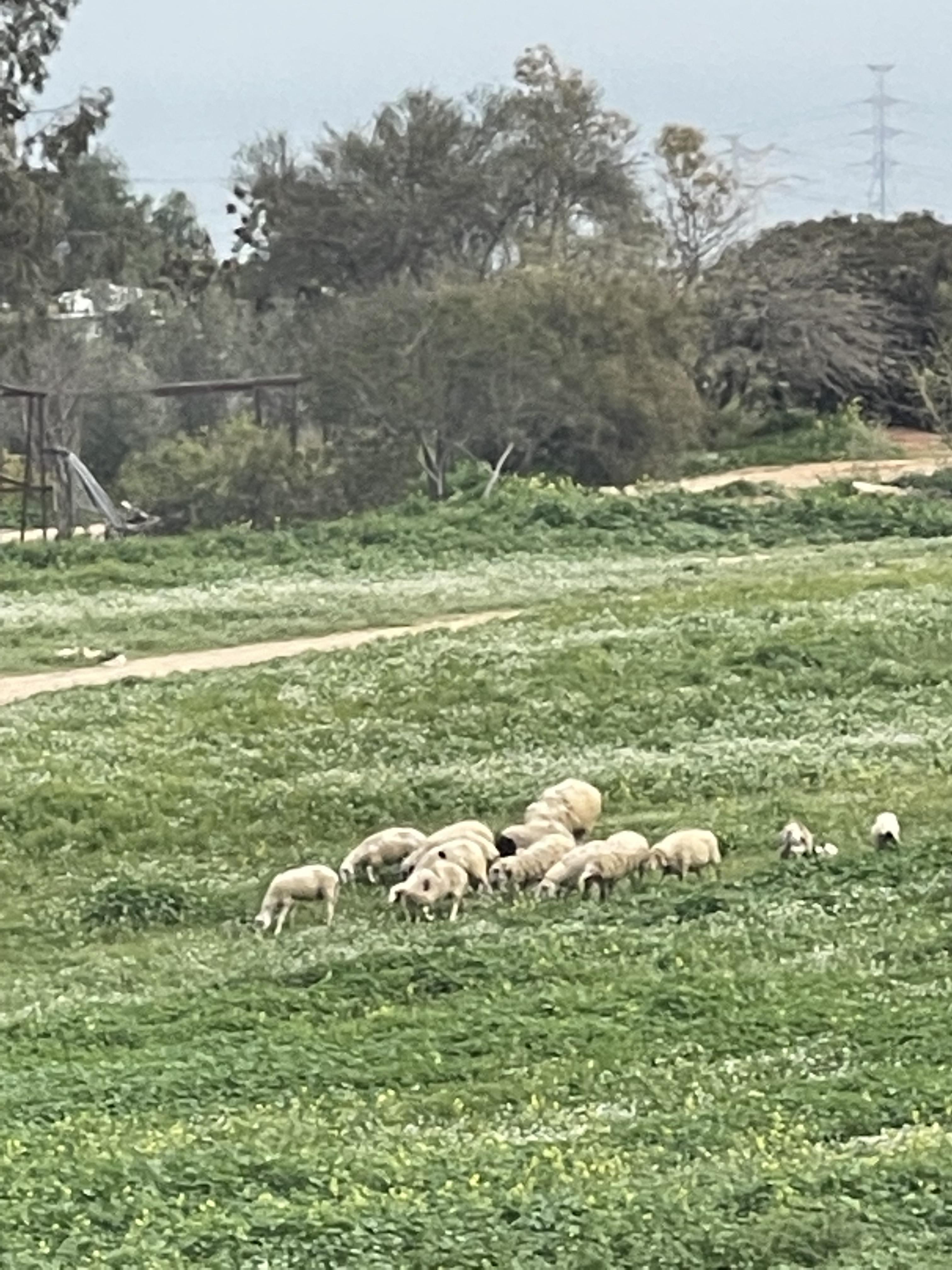جوله في احضان الطبيعه by ABRAR - Illustrated by بستان المناهل - Ourboox.com