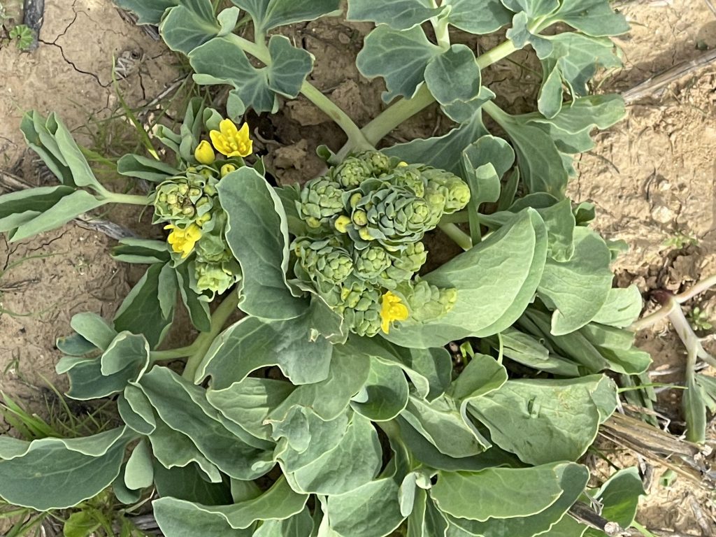 جوله في احضان الطبيعه by ABRAR - Illustrated by بستان المناهل - Ourboox.com