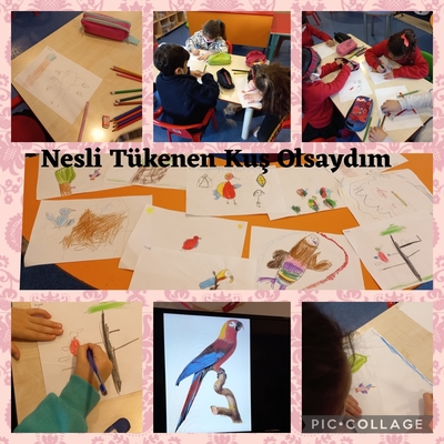 NESLİ TÜKENEN KUŞLAR by semataşlıoğlu - Ourboox.com