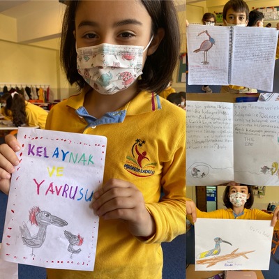 NESLİ TÜKENEN KUŞLAR by semataşlıoğlu - Ourboox.com