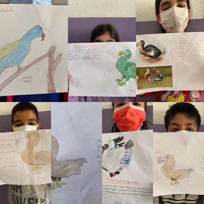 NESLİ TÜKENEN KUŞLAR by semataşlıoğlu - Ourboox.com