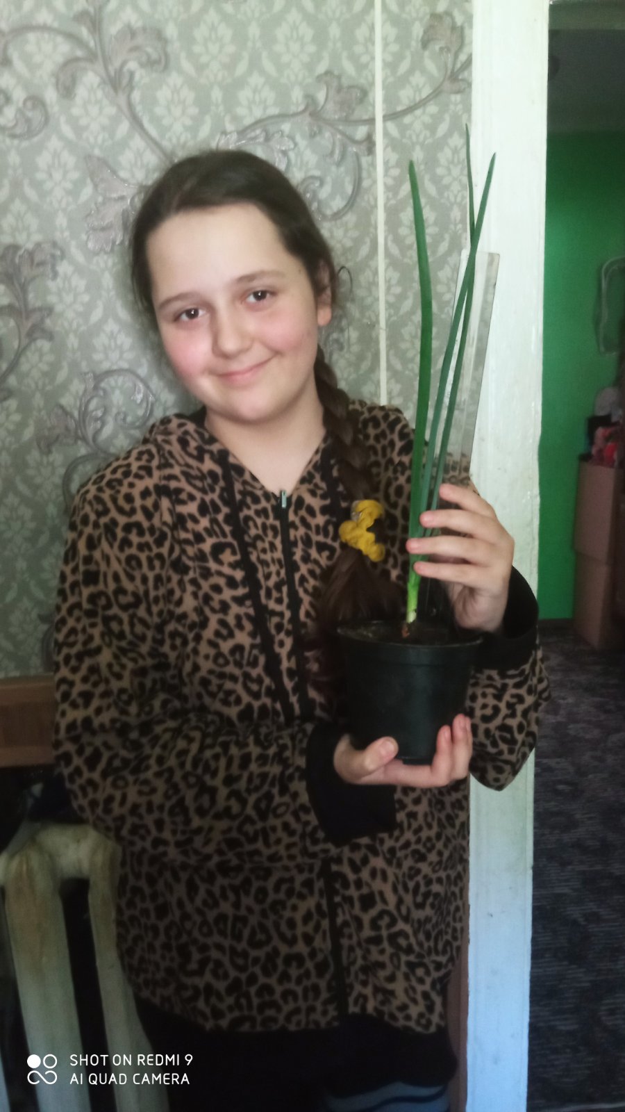 проект з природознавства by oduncka daria - Ourboox.com