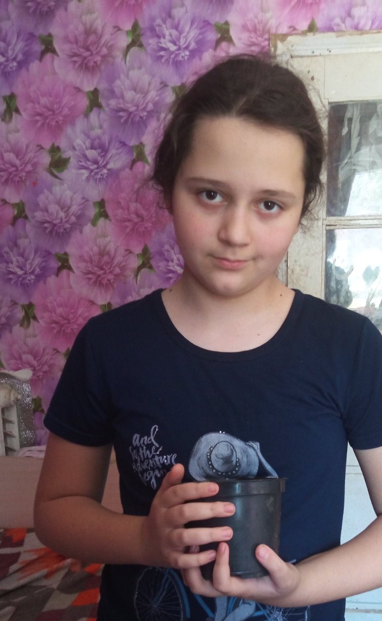 проект з природознавства by oduncka daria - Ourboox.com