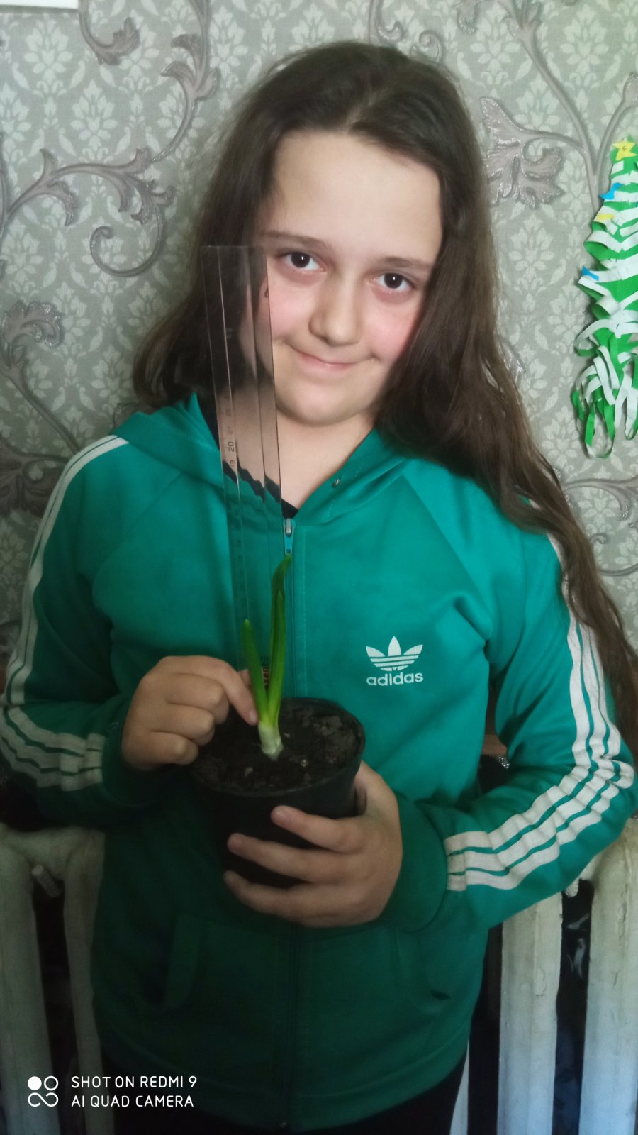 проект з природознавства by oduncka daria - Ourboox.com