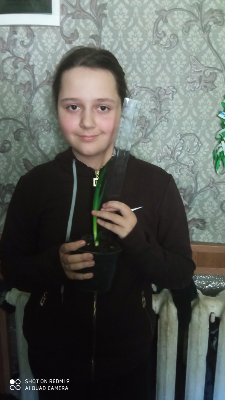 проект з природознавства by oduncka daria - Ourboox.com