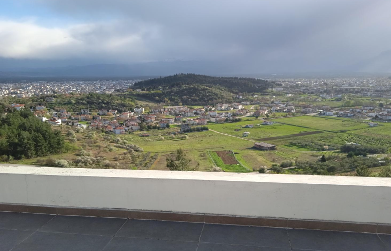 Trip to Trikala by Augustė Skvirbaitė - Illustrated by Augustė Skvirbaitė - Ourboox.com