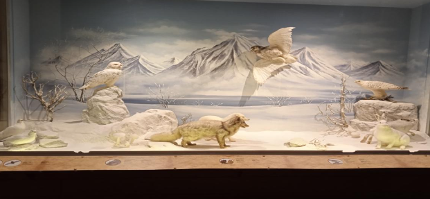 Trip to Trikala by Augustė Skvirbaitė - Illustrated by Augustė Skvirbaitė - Ourboox.com