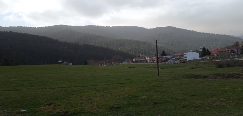 Trip to Trikala by Augustė Skvirbaitė - Illustrated by Augustė Skvirbaitė - Ourboox.com