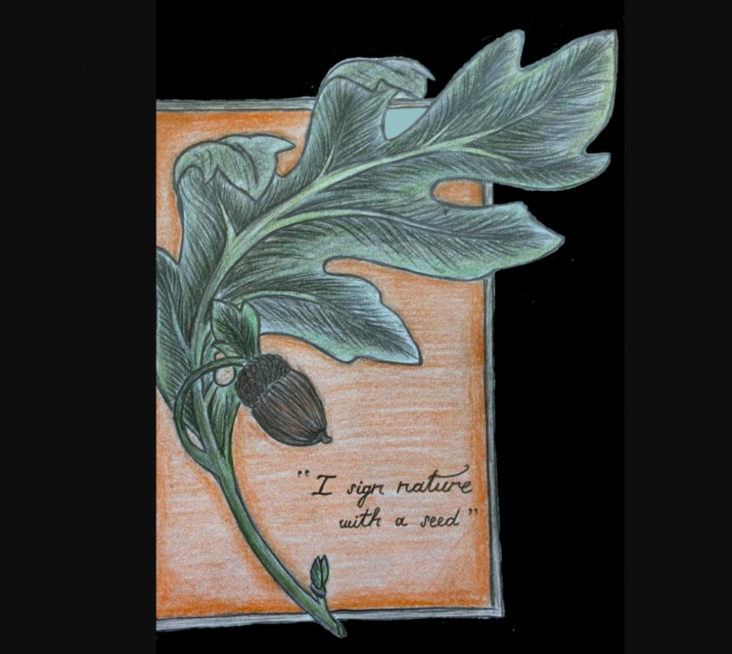 Meşe Palamutu by Nursen Coşkun - Ourboox.com