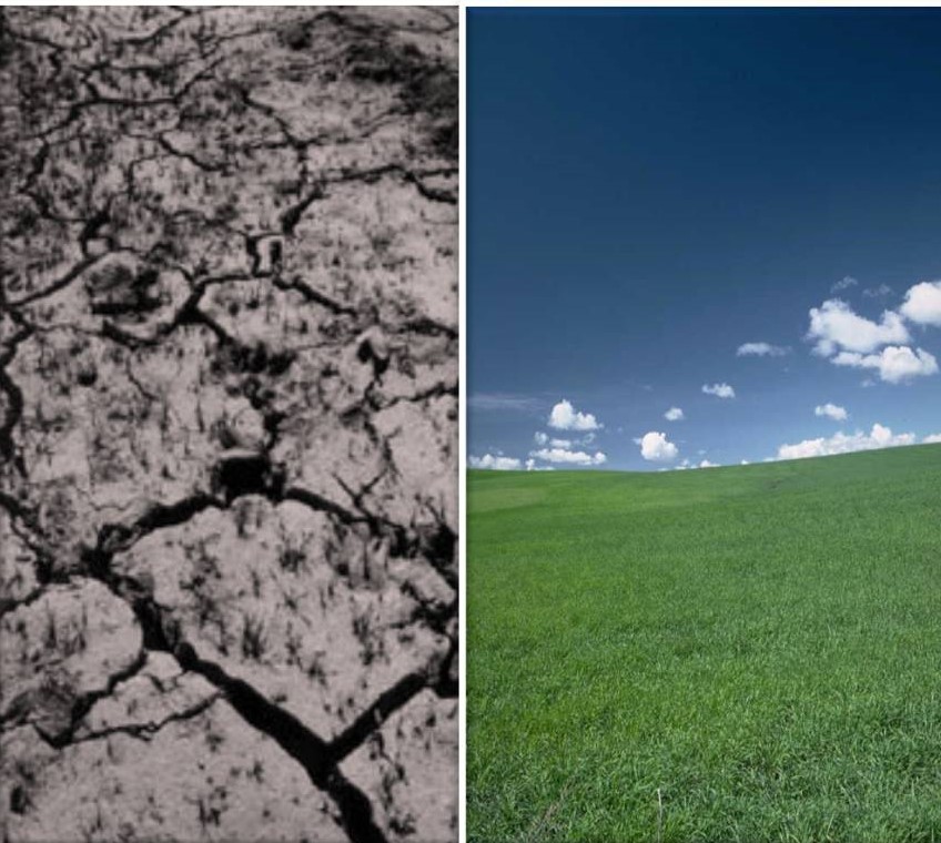 Забруднення ґрунтів — вид антропогенної трансформації ґрунтів, при якій вміст хімічних речовин у ґрунтах, які піддаються антропогенному впливу, перевищує природний регіональний рівень їх вмісту у ґрунтах.