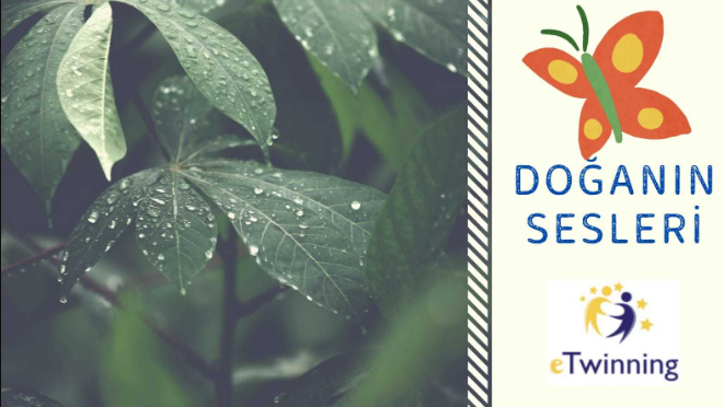 PROJE DEĞERLENDİRME KİTABI (AİLE GÖRÜŞLERİ) by FATMA KILIÇ - Ourboox.com