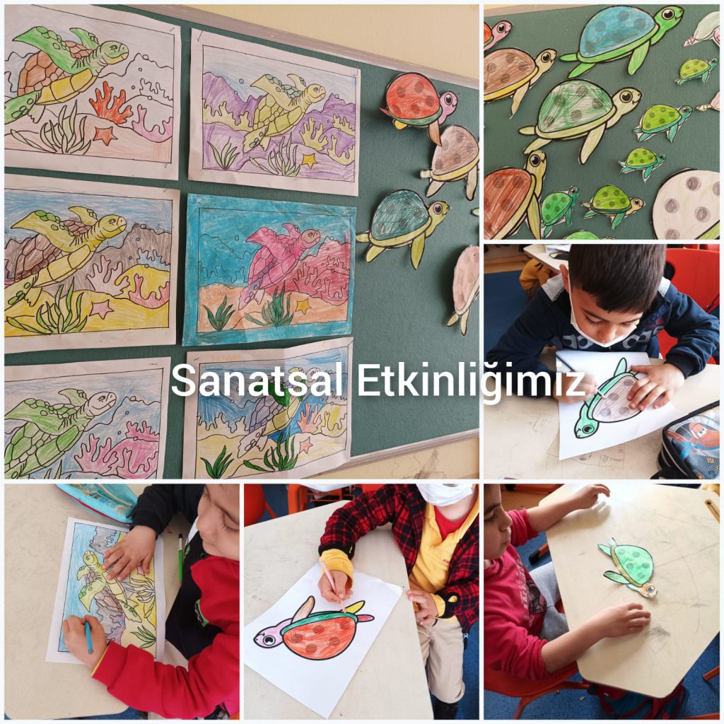 OKULLARDA ORMAN SEN DE DOĞAYLA CANLAN- Caretta-tortoise by Pece Kocovski - Ourboox.com