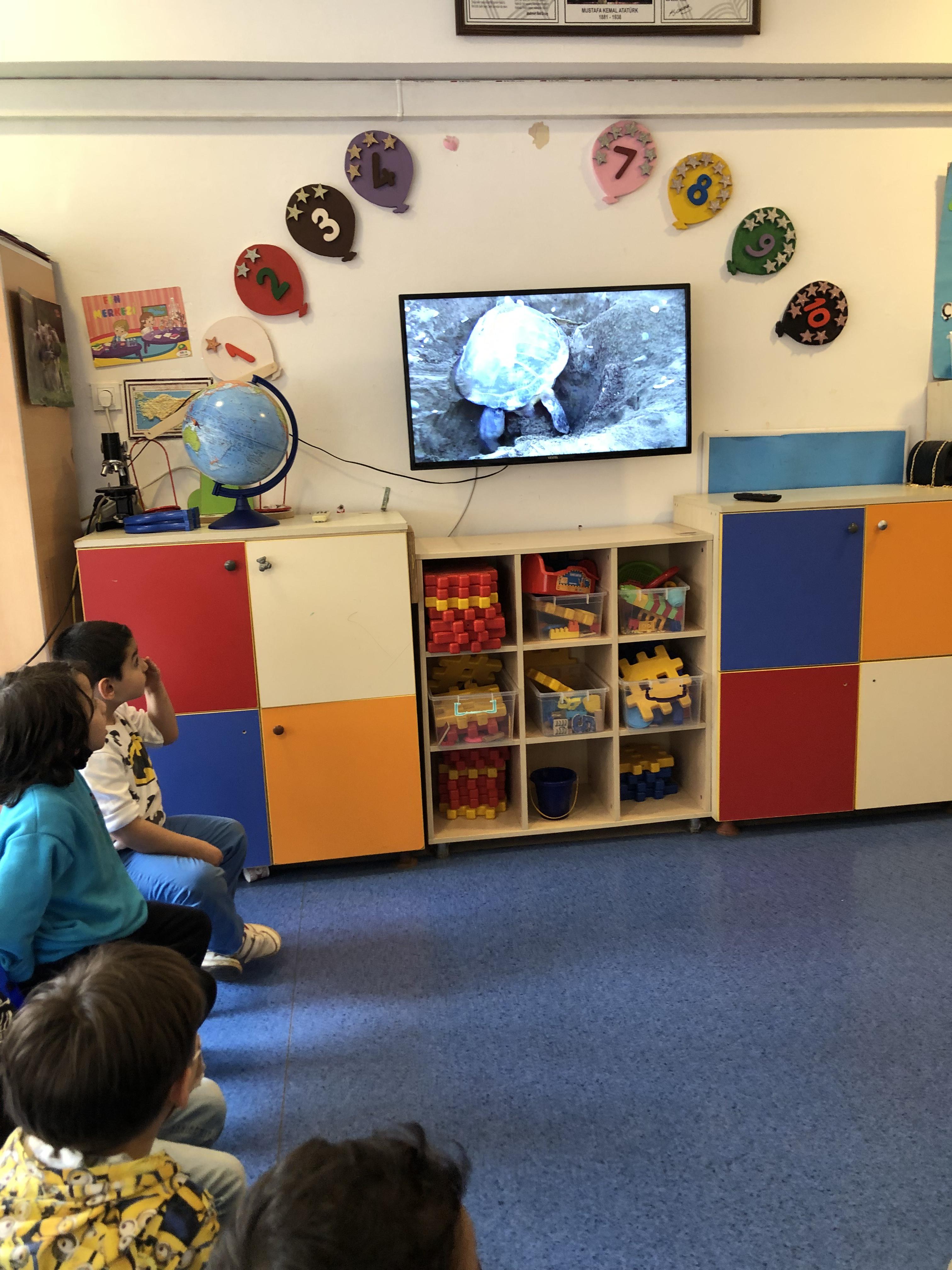 OKULLARDA ORMAN SEN DE DOĞAYLA CANLAN- Caretta-tortoise by Pece Kocovski - Ourboox.com