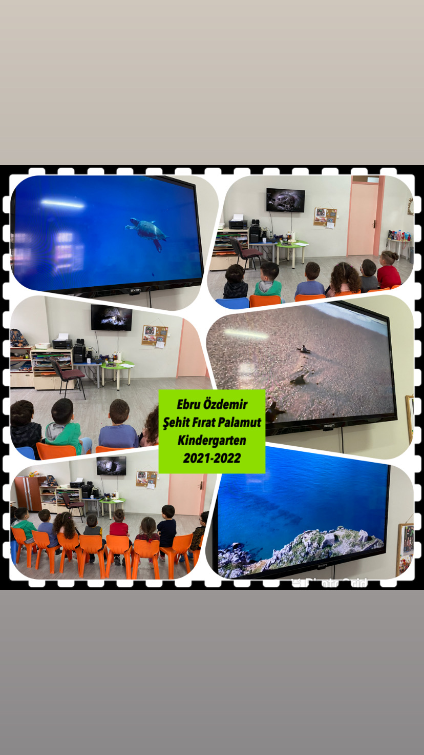 OKULLARDA ORMAN SEN DE DOĞAYLA CANLAN- Caretta-tortoise by Pece Kocovski - Ourboox.com