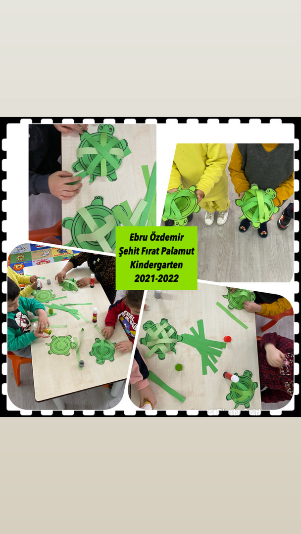 OKULLARDA ORMAN SEN DE DOĞAYLA CANLAN- Caretta-tortoise by Pece Kocovski - Ourboox.com