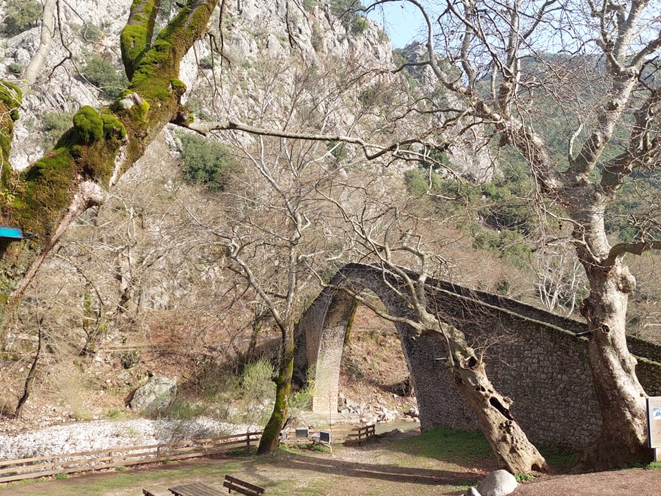 Trip to Trikala by Augustė Skvirbaitė - Illustrated by Augustė Skvirbaitė - Ourboox.com