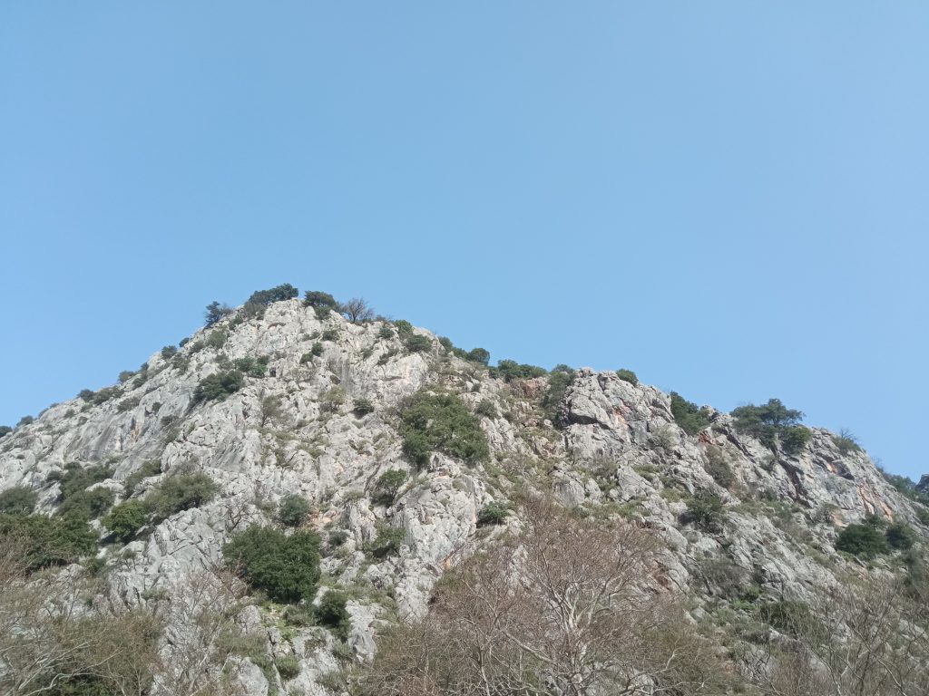 Greece experience by Goda Čiulkova - Illustrated by Goda Čiulkova - Ourboox.com