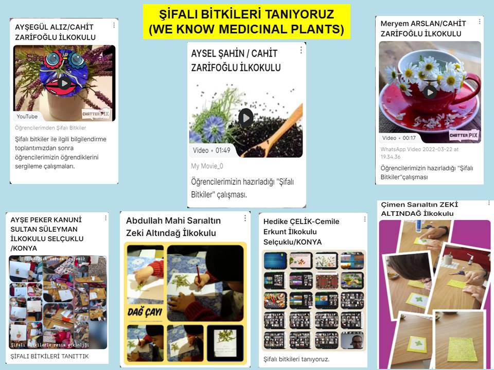 Bİİ KOZALAK VERSEM by Aysel ŞAHİN - Illustrated by AYSEL ŞAHİN - Ourboox.com