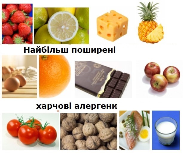 Заклади харчування by Mariya - Ourboox.com