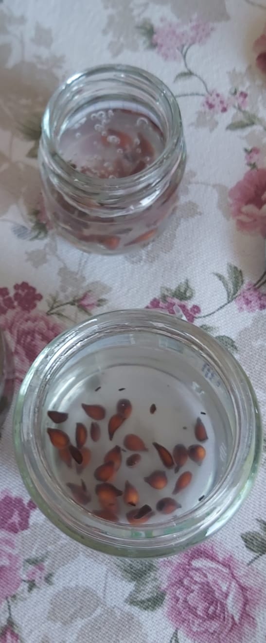 AS WE CONSUME WE PRODUCE by Bekir UĞURLU - Ourboox.com