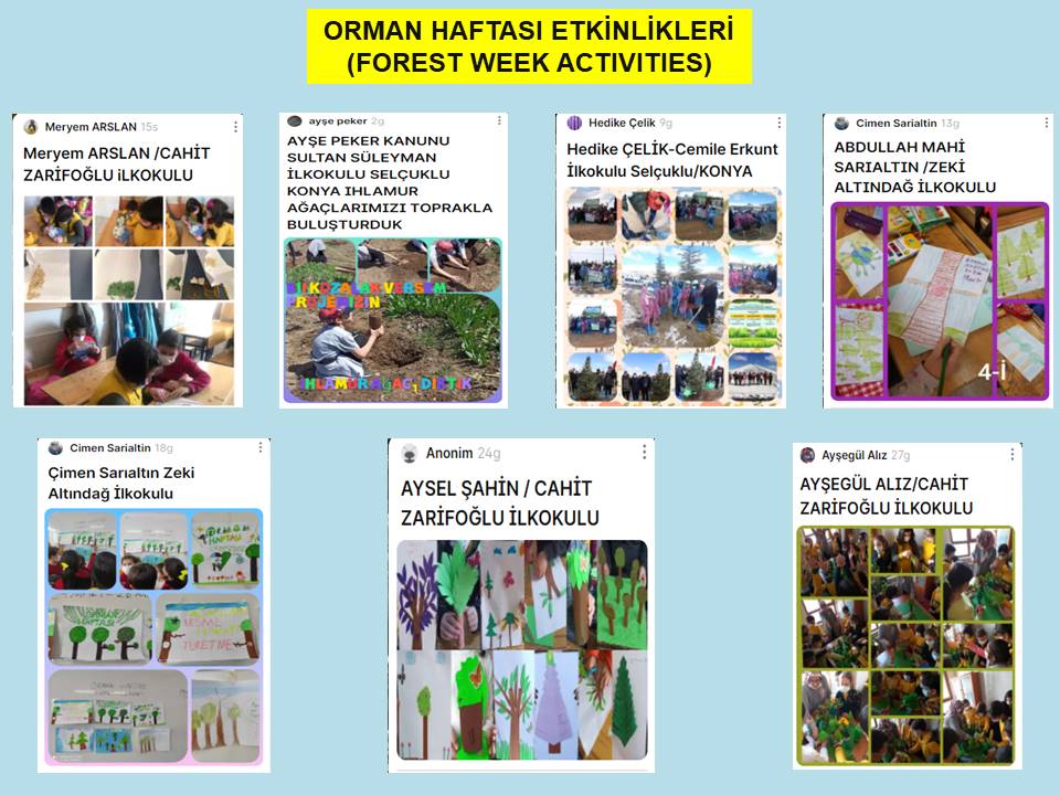 Bİİ KOZALAK VERSEM by Aysel ŞAHİN - Illustrated by AYSEL ŞAHİN - Ourboox.com