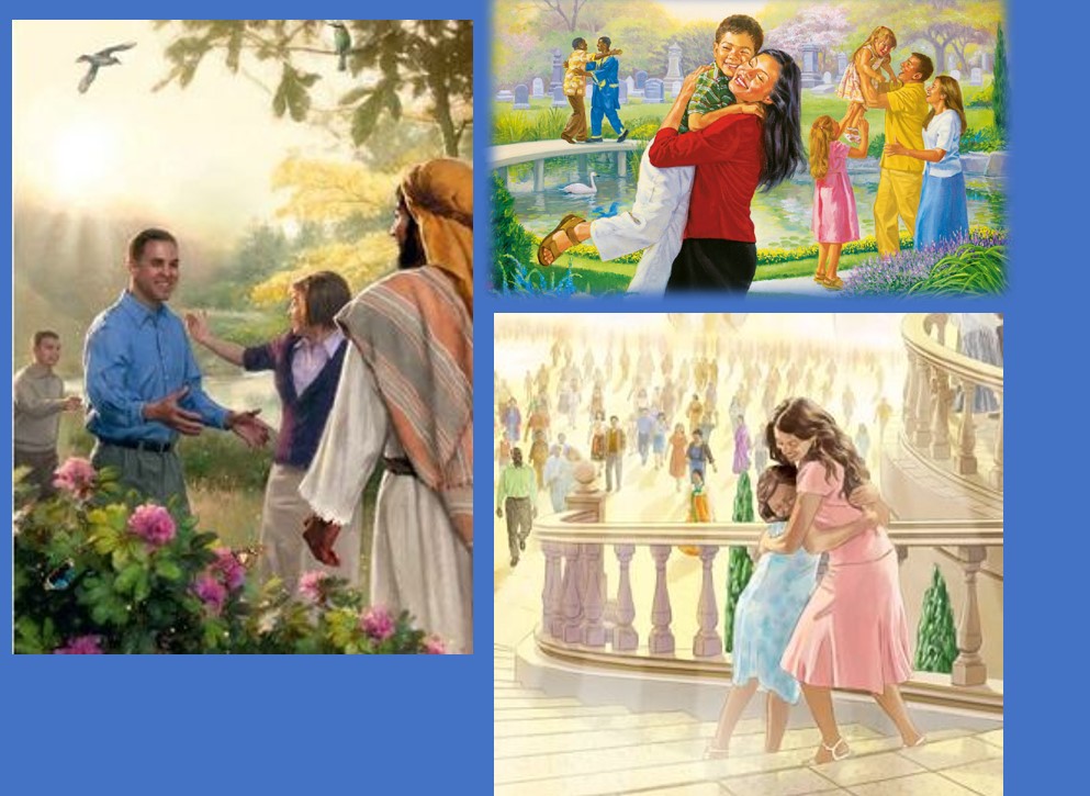 Chi è morto tornerà in vita! by RENZA RIZZI - Ourboox.com