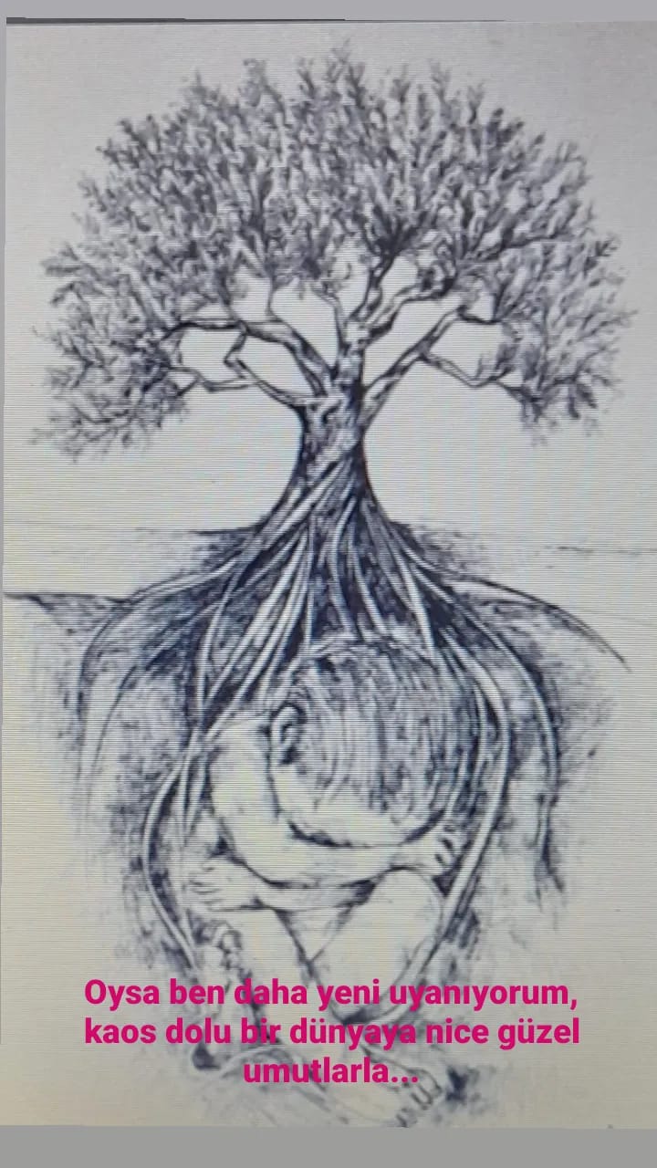 Bir Meşenin Öyküsü by SEVAL AKTER - Ourboox.com