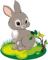 В гостях у зайчика