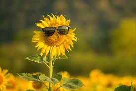 ЛІТЕЧКО by Gudyma Olga - Ourboox.com