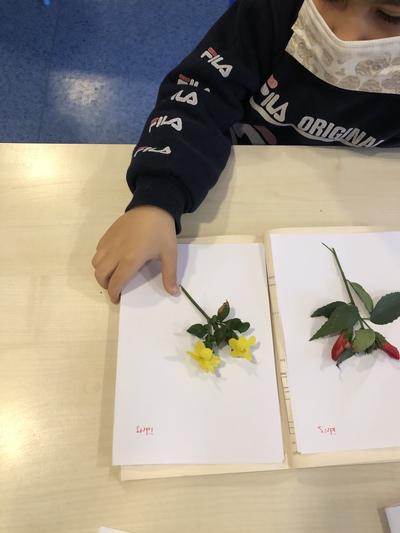 BENİM MİNİK HERBARYUMUM E-BOOK by dilek herzem - Ourboox.com