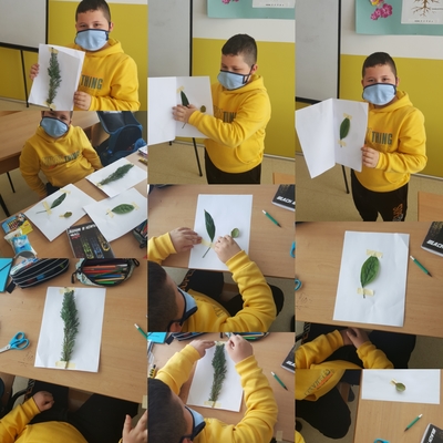 BENİM MİNİK HERBARYUMUM E-BOOK by dilek herzem - Ourboox.com