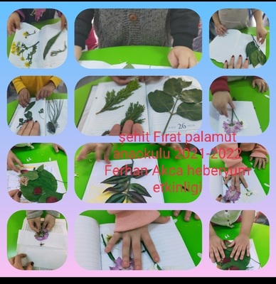 BENİM MİNİK HERBARYUMUM E-BOOK by dilek herzem - Ourboox.com