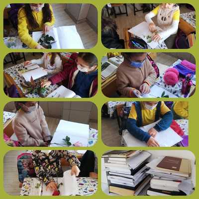 BENİM MİNİK HERBARYUMUM E-BOOK by dilek herzem - Ourboox.com