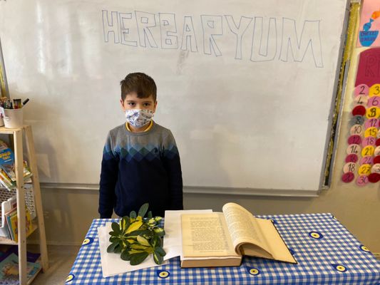 BENİM MİNİK HERBARYUMUM E-BOOK by dilek herzem - Ourboox.com