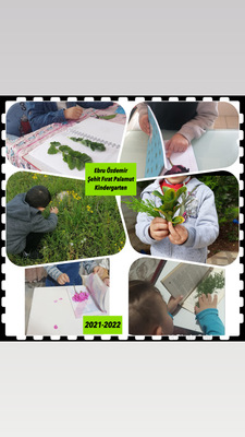 BENİM MİNİK HERBARYUMUM E-BOOK by dilek herzem - Ourboox.com